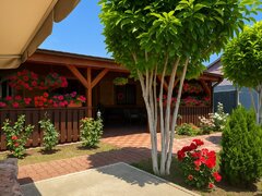 Bolintin Vale, casa solida, complet renovata, cu terasa generoasa